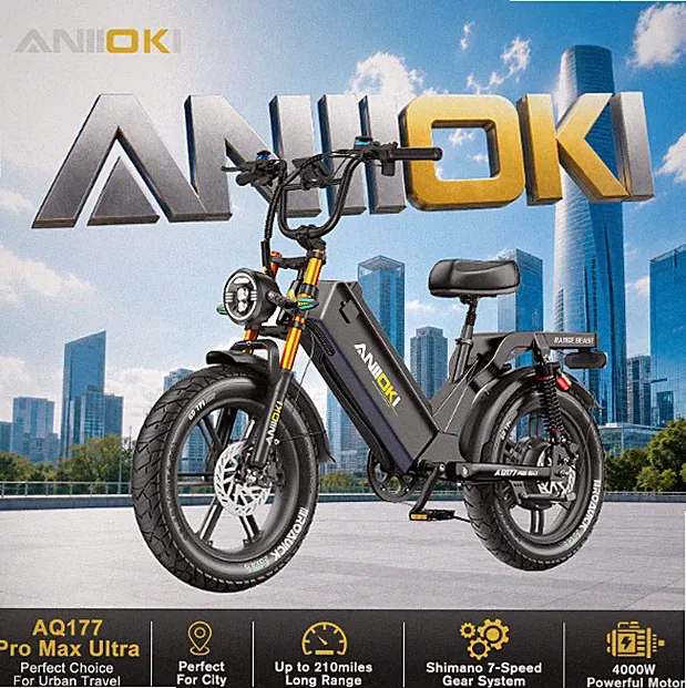 20" Fat Tires 4000W Electric Mountain Bike For AdultsSingle Motor 46MPH 60V 70AH