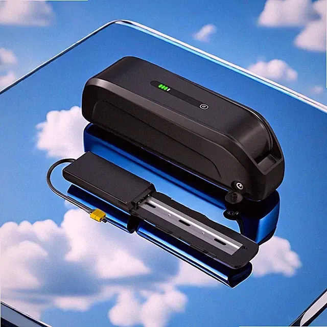 36V 48V 52V li-ion Ebike Battery for 0-2000W Electric Bike Hailong Battery